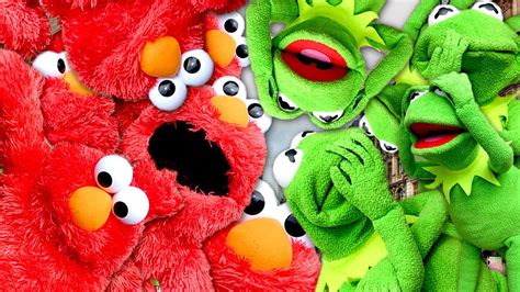 Kermit And Elmo Memes Wallpaper