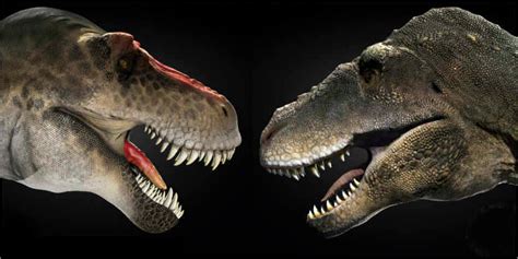 Tarbosaurus vs T-Rex by simonmoberg on DeviantArt