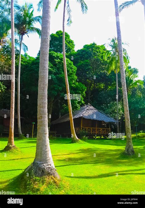 Tropical beach houses in Thailand Stock Photo - Alamy