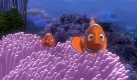 The Barracuda From Finding Nemo Is A Scary Fish