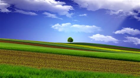 Green field clipart, landscape, clouds, field, sky HD wallpaper | Wallpaper Flare