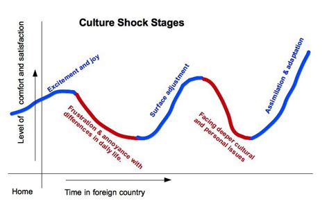 Culture shock stages: dealing with a culture shock on your own.