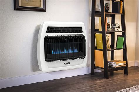 Top 10 Best Natural Gas Wall Heaters in 2021 Reviews | Guide