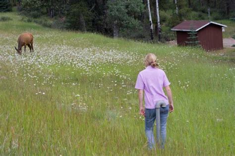 A Day in the Life of a Wildlife Biologist with a Professional Science Master's | Unity College ...