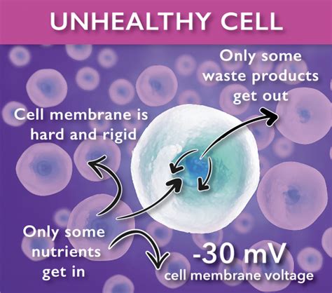 Unhealthy Cell vs. Healthy Cell - Acute Chronic and Arthritis Pain Relief - Frequency Therapy