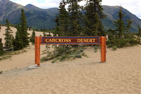 Carcross Desert, Carcross, Yukon, Canada Stock Image - Image of landscape, background: 44234565