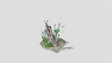 Tree trunk (iPhone 12 Pro Lidar) - Download Free 3D model by just_Rem | Юр (@just_Rem) [0e45976 ...