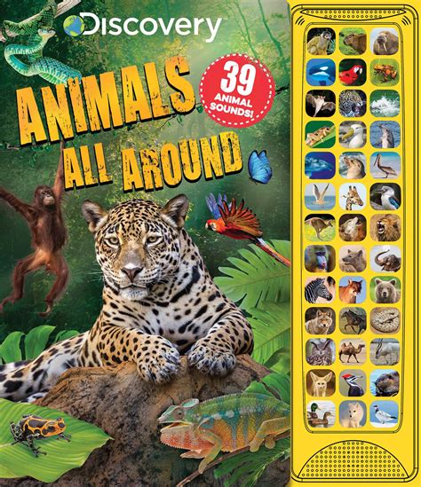 Discovery: Animals All Around | Book by Courtney Acampora | Official Publisher Page | Simon ...