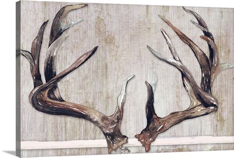 Trophy Antlers Wall Art, Canvas Prints, Framed Prints, Wall Peels ...