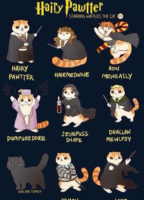 Harry Potter characters were Cats! | Harry Potter Amino