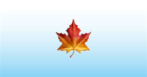 Maple Leaf Emoji 🍁