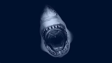 Online crop | HD wallpaper: Great White Shark | Wallpaper Flare