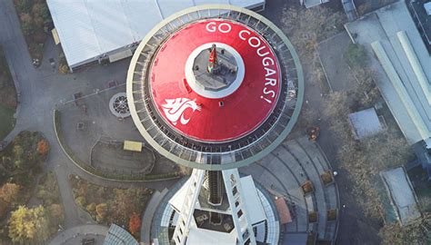 The WSU Cougar head logo through the years | Washington State Magazine | Washington State University