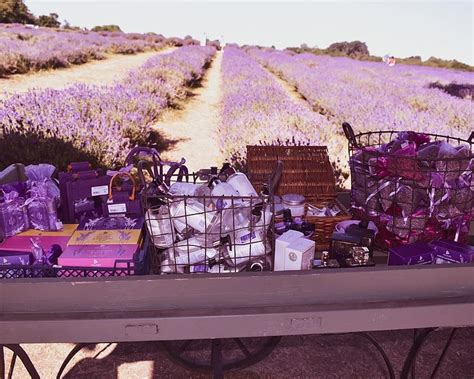 Keeping calm at Mayfield Lavender Farm - Queen On A Journey