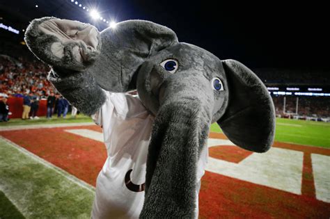 Alabama's Elephant Mascot: Why Big Al is the Perfect Tide Symbol