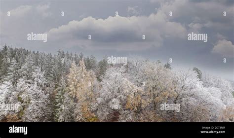 Aerial photos of a wooded winter landscape in Bavaria Stock Photo - Alamy