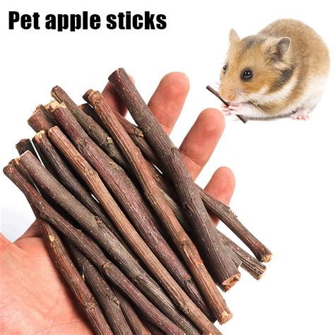 Pet Chew Toys for Hamster Rabbit Totoro Guinea Pig Sweet Chewing Sticks E2S-in Toys from Home ...