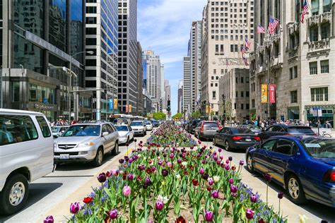 Chicago's Magnificent Mile: The Complete Guide