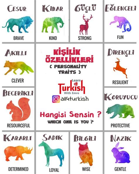 Animals in Turkish Language | Türkçe, Ingilizce dilbilgisi