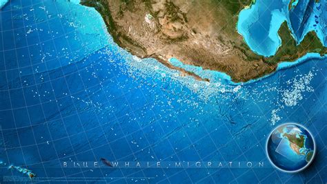 How to make this animated map of blue whale migration