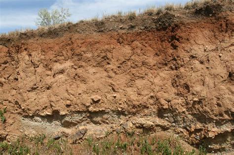 Soil profile in grassland – Geology Pics