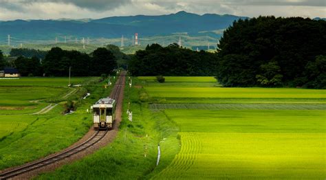 Eat Local in Iwate Prefecture