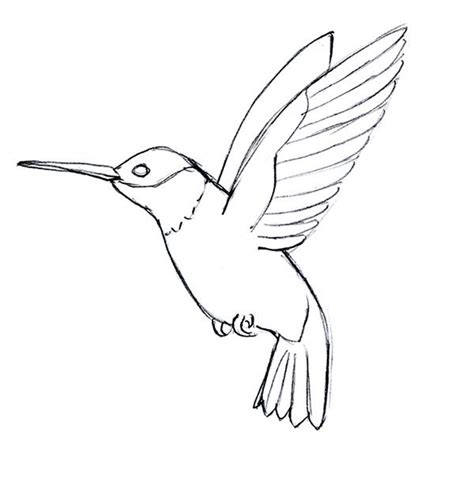 NotFound | Bird drawings, Hummingbird drawing, Simple bird drawing