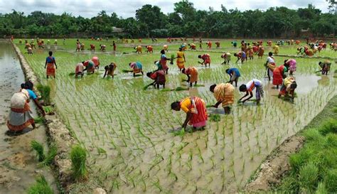 Bangladesh Needs Climate Smart Investments for Higher Agricultural ...