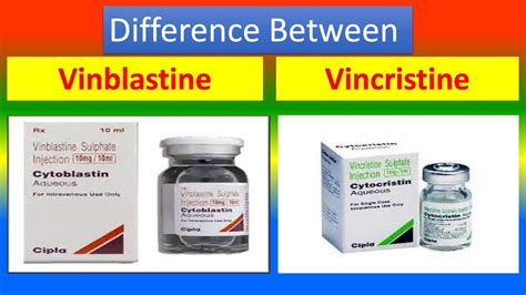 Difference between Vinblastine and Vincristine - YouTube