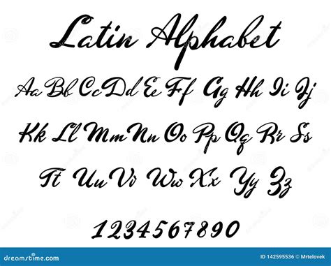 Latin Alphabet Classical Calligraphy and Lettering. Wedding Font Stock ...