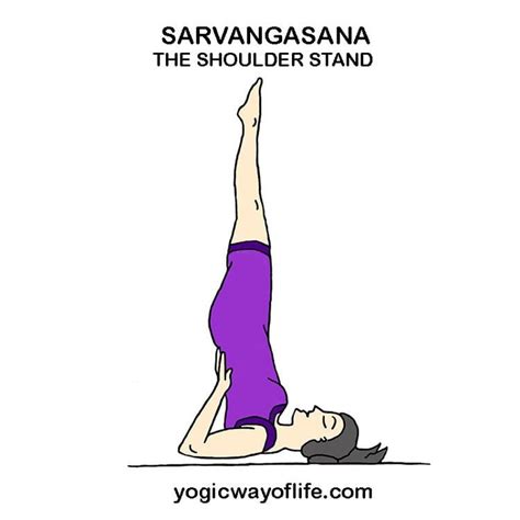 Sarvangasana - Alchetron, The Free Social Encyclopedia