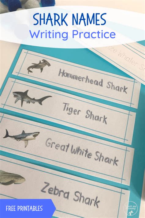 Shark Names Writing Practice - Teach Me Mommy