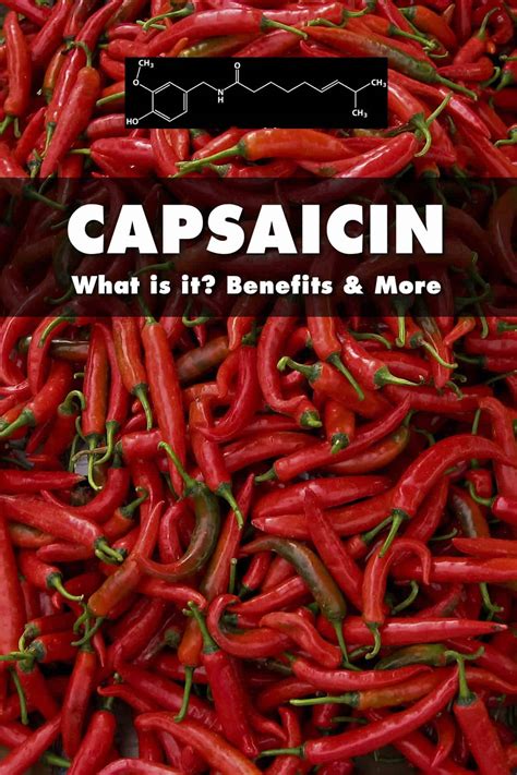 What is Capsaicin? Heat Level, Health Benefits and More - Chili Pepper Madness