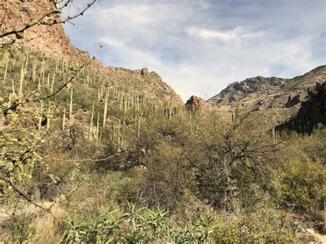 Ventana Canyon Trail: A Hiking Guide | TucsonTopia