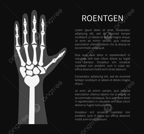 Roentgen Poster And Text Sample Template Download on Pngtree