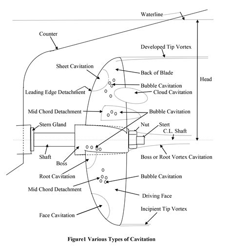 An introduction to propeller cavitation