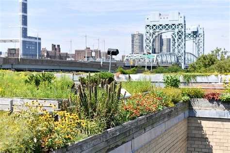 Green Roofs : NYC Parks