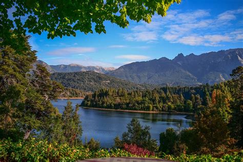 Bosques andino patagónico - Información, clima, flora y fauna