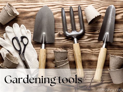 9 Best Gardening Tools List for Potted Plants - Mishry (Nov 2023)