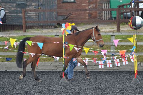 Pin by Jennifer Hockings on Horse Obstacle Course | Horses, Horse training, Horse diy