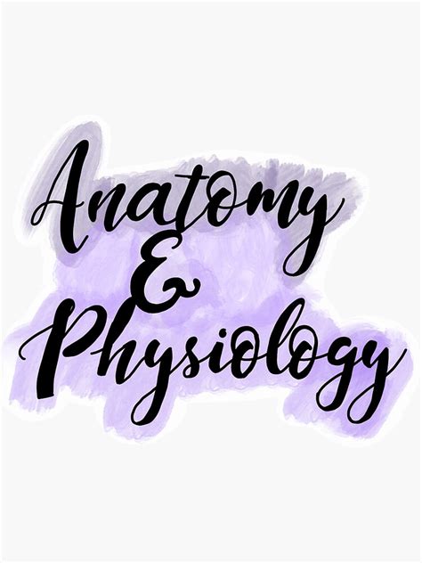 "Anatomy and Physiology" Sticker for Sale by sashamaslowski | Redbubble