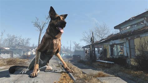 25 Crazy Things Only Super Fans Knew About Dogmeat From Fallout