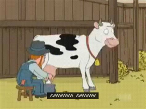 Cow Milk GIFs - Find & Share on GIPHY