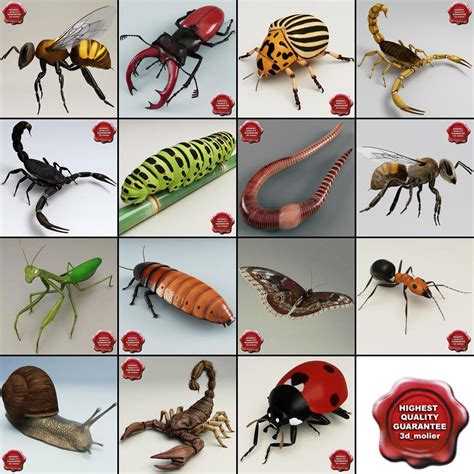 Insects Collection V6 3D Model #AD ,#Collection#Insects#Model Morpho ...