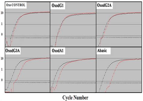 Taq DNA polymerase activity | Semantic Scholar