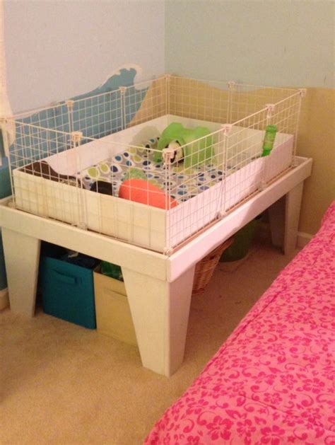 11 DIY Guinea Pig Cage Ideas | DIY Ready