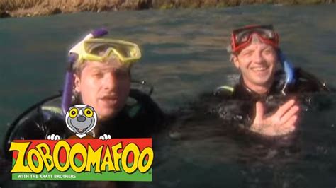 Zoboomafoo 106 - Swimming (Full Episode) - YouTube | Swimming, Full ...