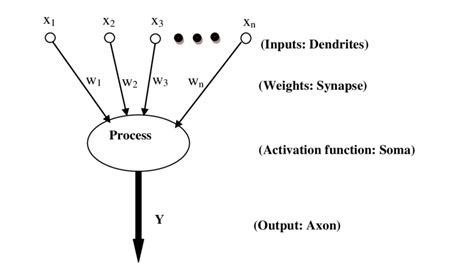 An artificial neuron. | Download Scientific Diagram