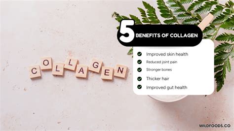 Marine Collagen Benefits (Skin, Bones & Overall Health)