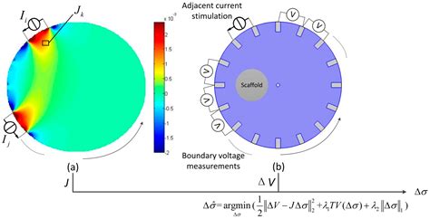 Materials | Free Full-Text | Exploring the Potential of Electrical ...